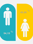 icone com dados estatísticos sobre género